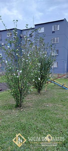 APARTAMENTO RESIDENCIAL em SÃO LEOPOLDO - RS, SANTOS DUMONT — foto 17