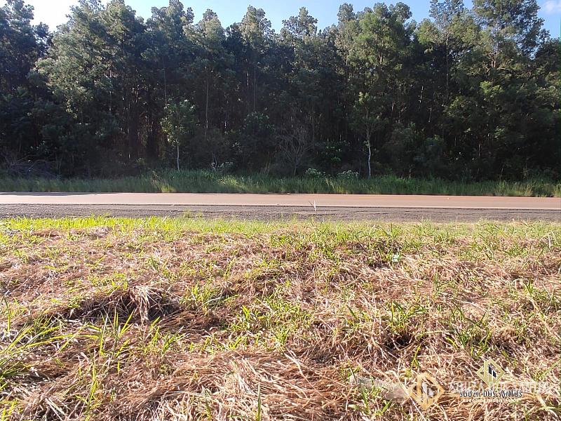 TERRENO RURAL em Triunfo - RS, VILA BOA VISTA — foto 4