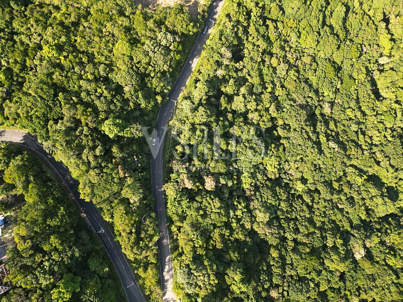 Terreno à venda, 5000m² - Fazenda - Itajaí — foto 3