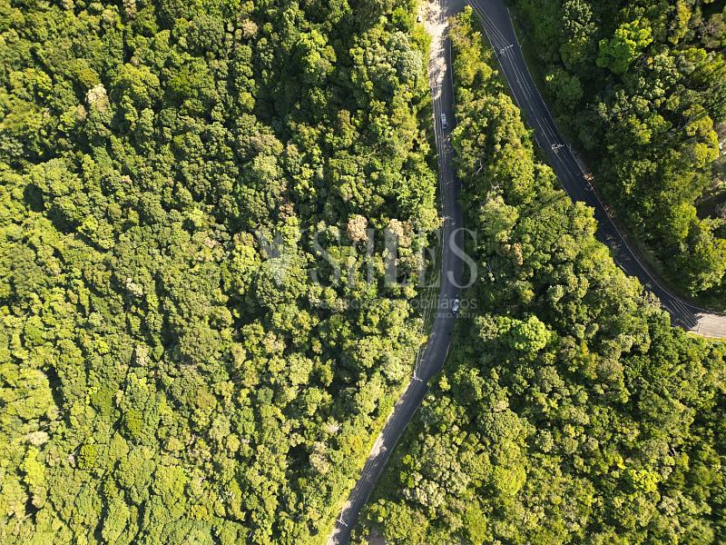 Terreno à venda, 5000m² - Fazenda - Itajaí — foto 5
