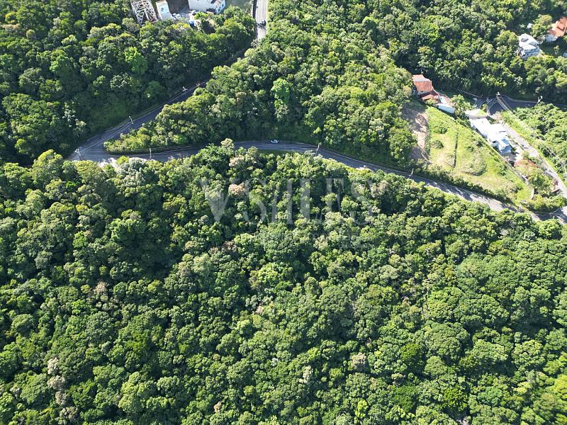Terreno à venda, 5000m² - Fazenda - Itajaí — foto 6