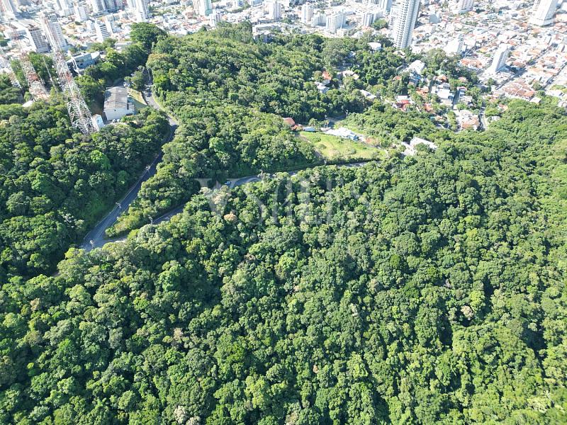 Terreno à venda, 5000m² - Fazenda - Itajaí — foto 7